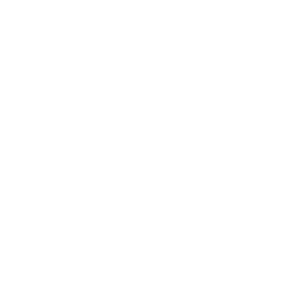 Ceylanlar Profesyonel Site Yönetimi logo görseli